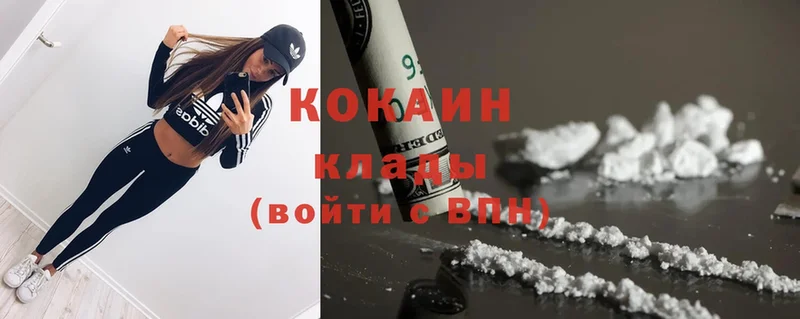 Cocaine Fish Scale  магазин  наркотиков  Куртамыш 